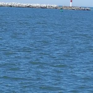 Meet your Posher, Ann marie